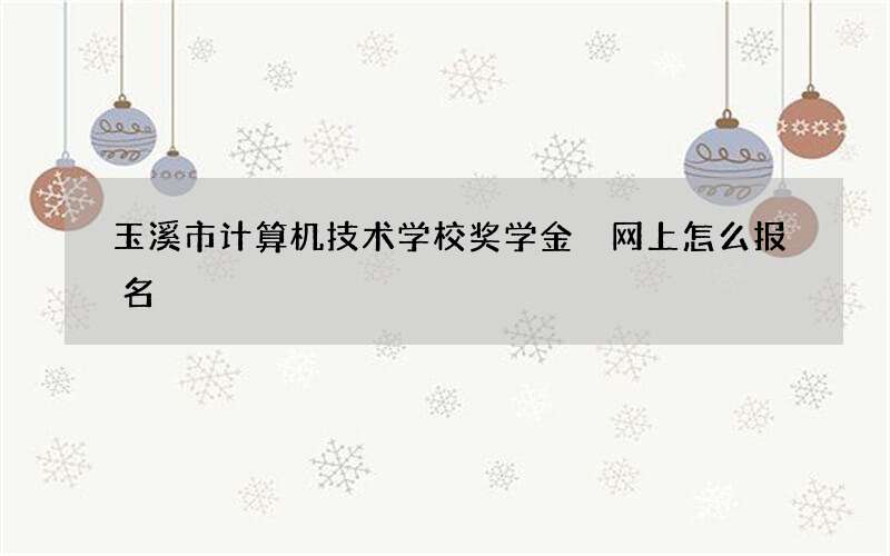 玉溪市计算机技术学校奖学金 网上怎么报名